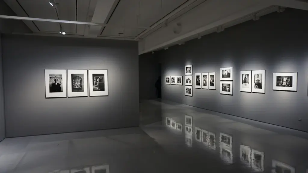 Kaasaegne kunstigalerii väljapanek, kus on seintele paigutatud mitmed raamitud fotod ja plakatid.