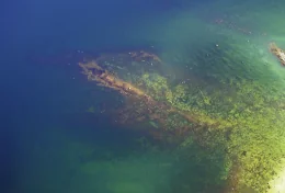 Läänemere päev kutsub Viimsis 27. augustil mere heaks tegutsema