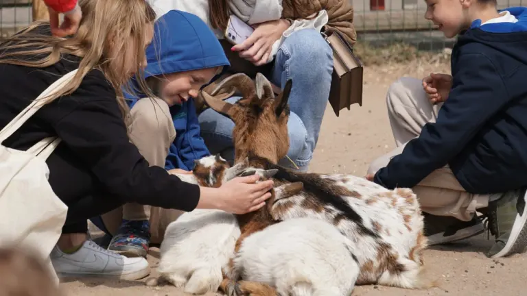 “Linnalaager Loomaaia elu” Tallinn Zoo-s: 19. august 2026, kell 10–14, pilet 30 €
