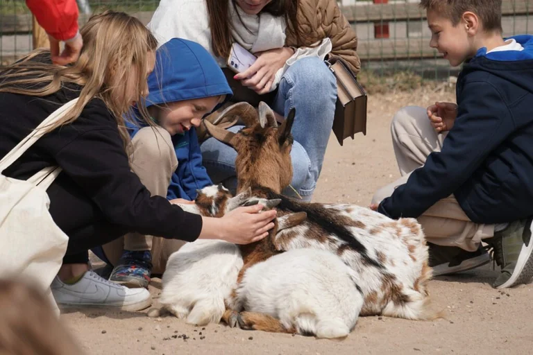 “Linnalaager Loomaaia elu” Tallinn Zoo-s: 19. august 2026, kell 10–14, pilet 30 €