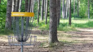 Mängude päev Põlvamaal: Aravu rahvamaja ootab discgolfi ja lauamänge