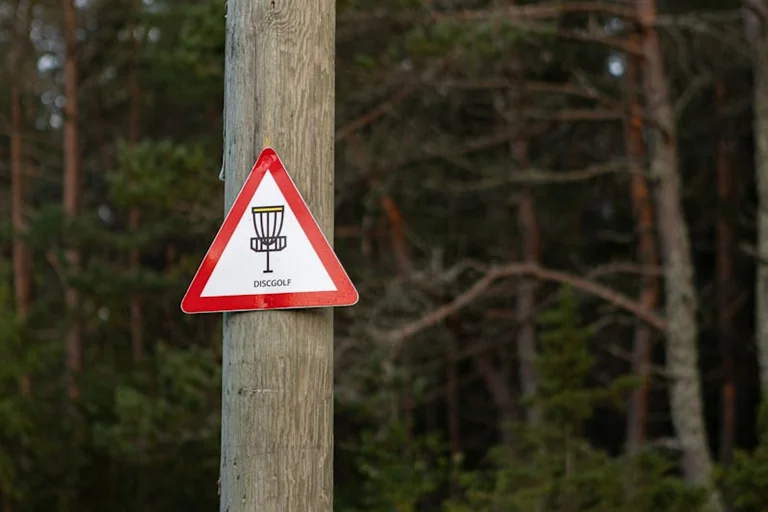 Mängude päev Põlvamaal: Aravu rahvamaja ootab discgolfi ja lauamänge