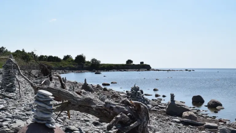 „Saare suvi” viib 21.–22. augustil Tagamõisa rannikule